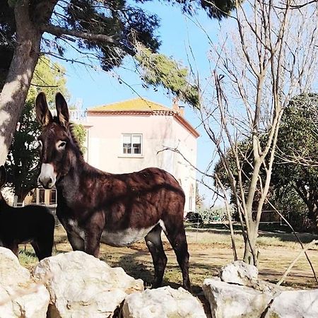 Au Coeur De La Nature Coursan المظهر الخارجي الصورة